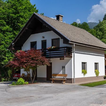 Apartma Pri Lipi Bohinj ภายนอก รูปภาพ