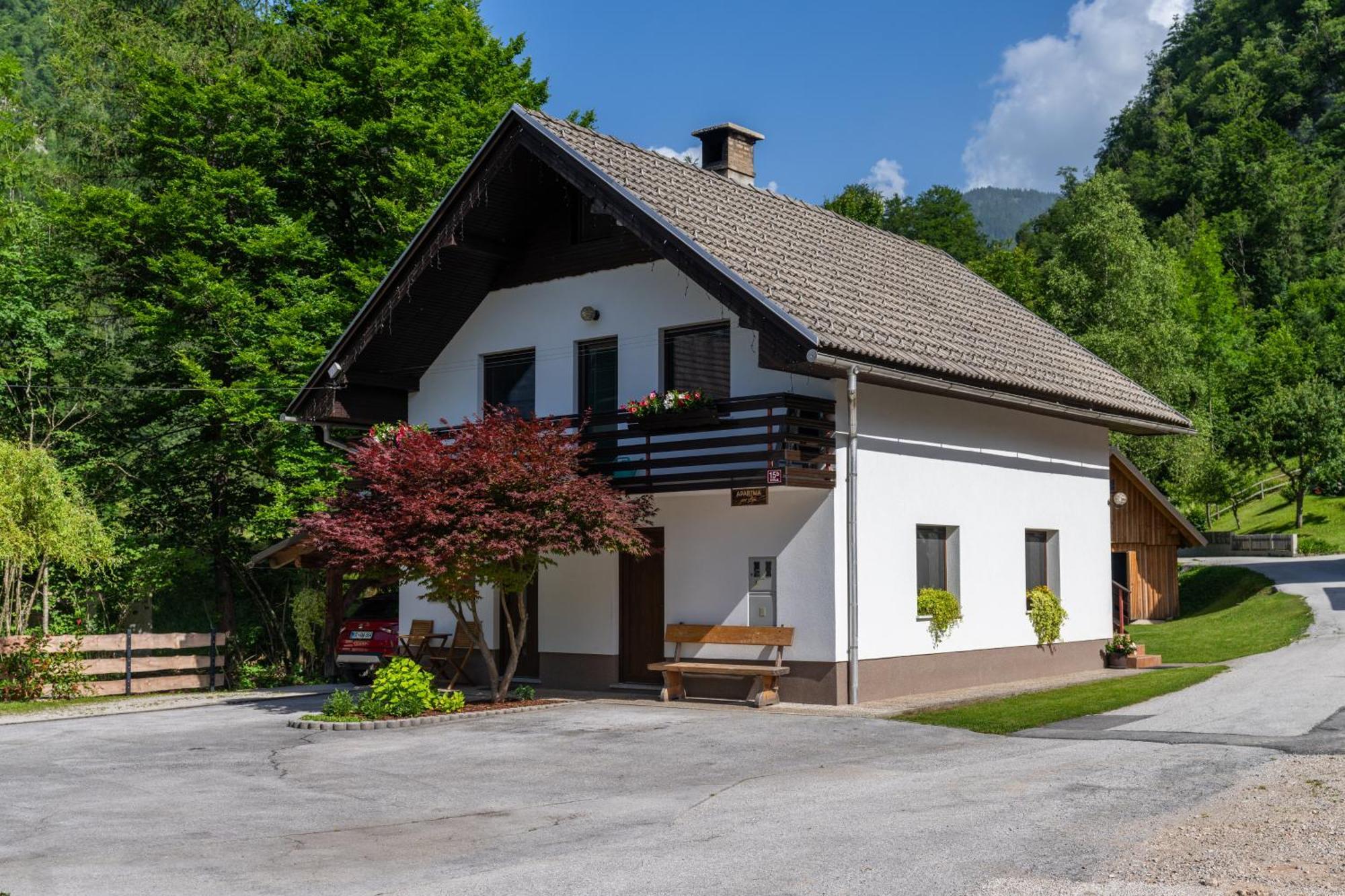 Apartma Pri Lipi Bohinj ภายนอก รูปภาพ