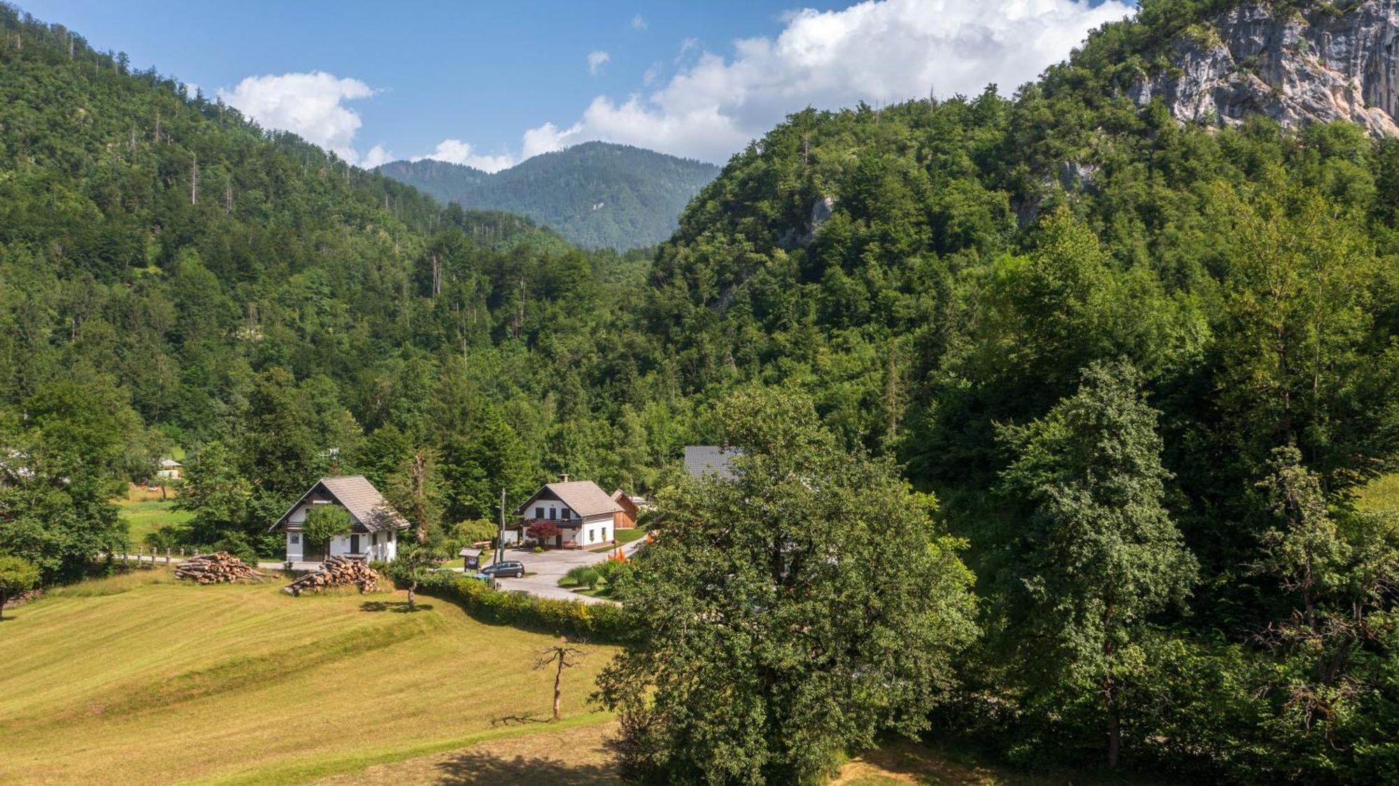 Apartma Pri Lipi Bohinj ภายนอก รูปภาพ